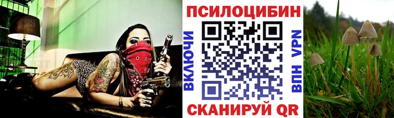 Псилоцибиновые грибы мицелий купить наркоту Полесск